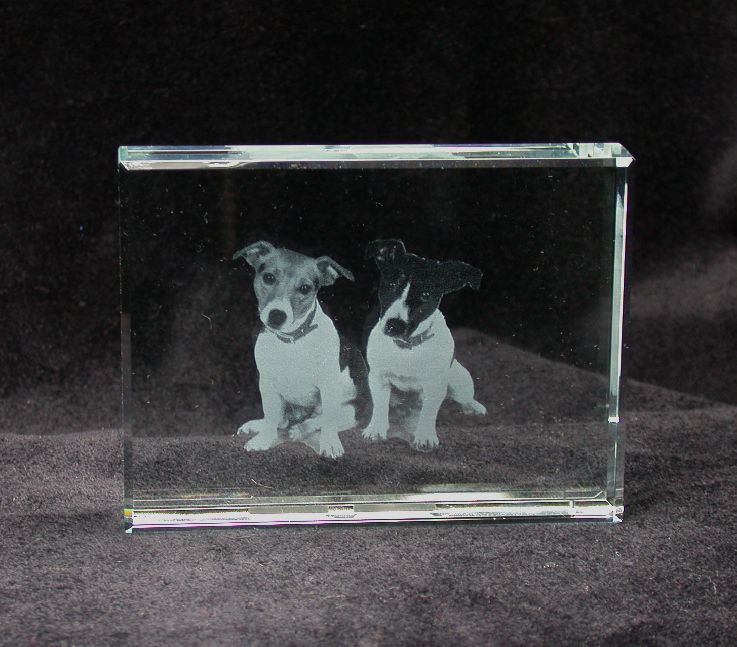 Hunde Glasbild